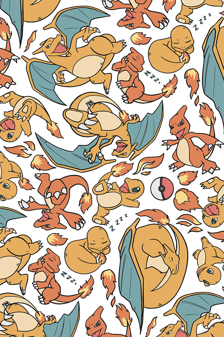 Charizard Wall Poster